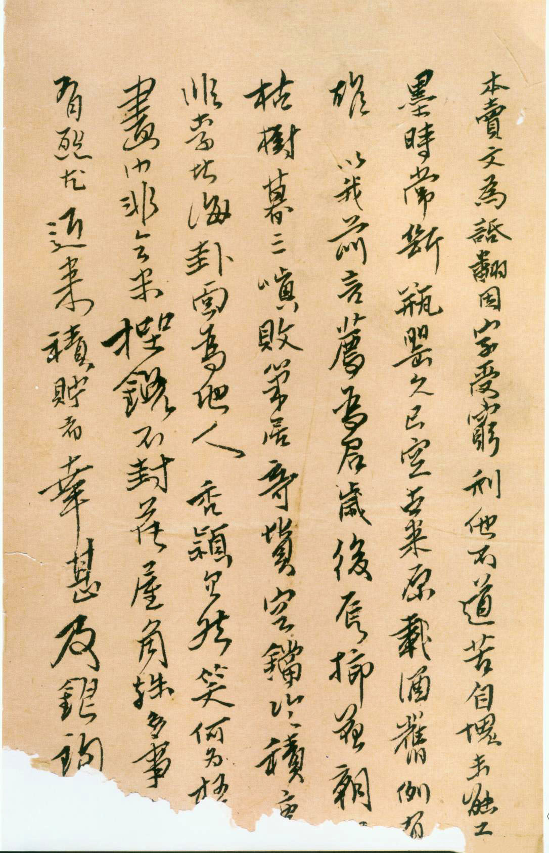 傅山《杂诗稿册》(图3)