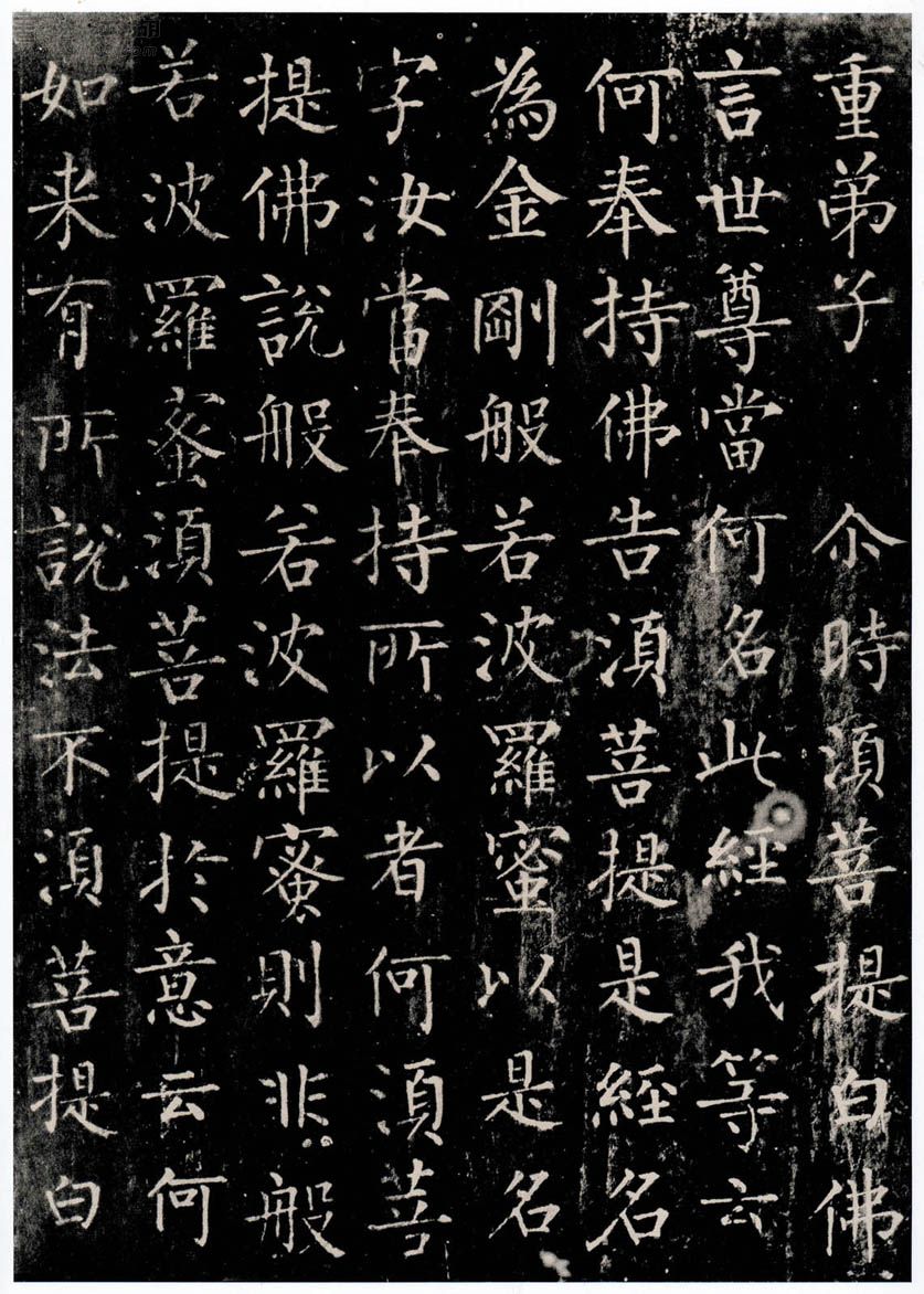 柳公权楷书《金刚经》-法国巴黎博物院藏 (图20)