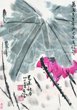 李苦禅花鸟画《荷花》37幅